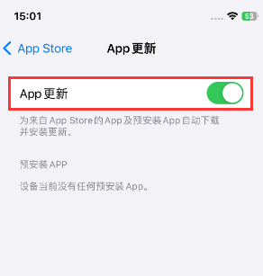 宜昌苹果15维修中心如何让iPhone15APP自动更新