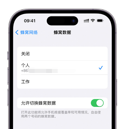 宜昌苹果维修服务分享如何在iPhone上使用双卡 